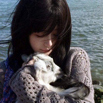 阿波罗之歌 海报